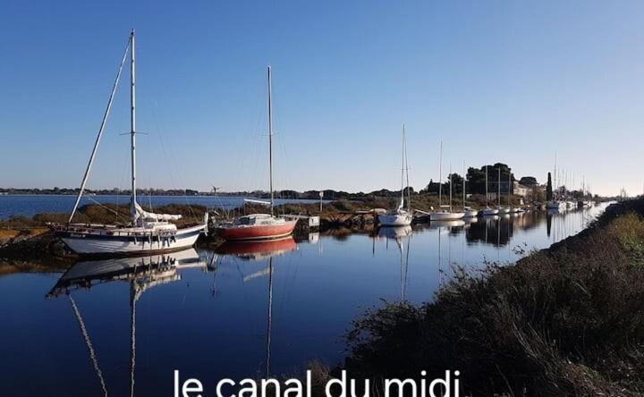 Le Corinthe - Appt Classe 3 Etoiles Et Climatise Marseillan  Exterior photo